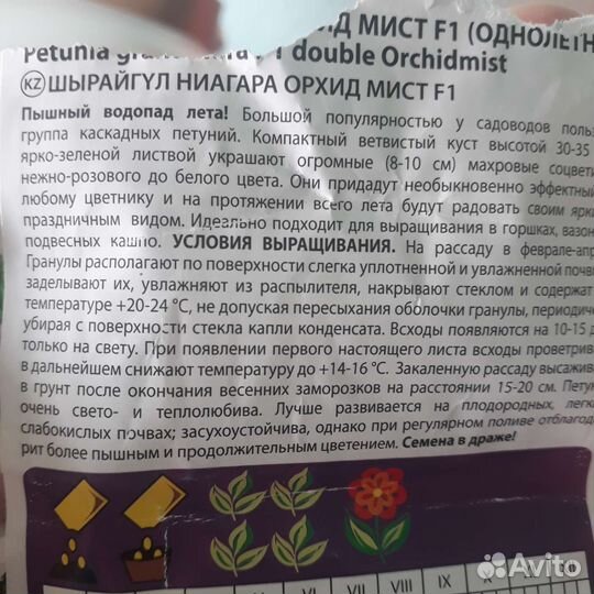 Петунья 6 см двойной цветок (как Гибискус)