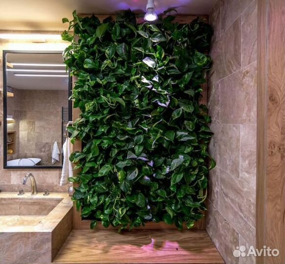 Искусственная зелень для декора плющ лиана