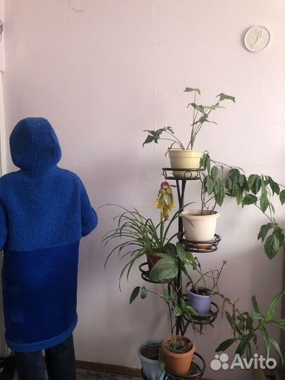 Дубленка женская новая, 48-50 размер