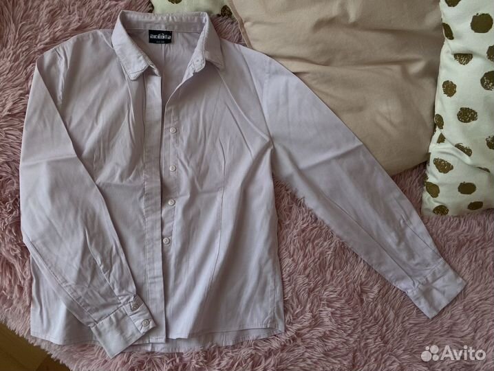 Блузка Акула