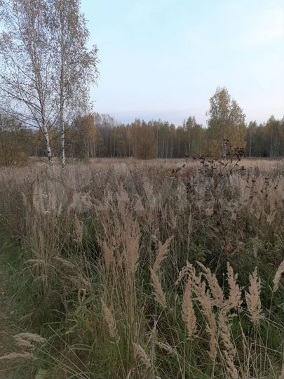 Участок 14 га (СНТ, ДНП)
