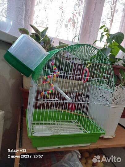 Клетка для попугая бу