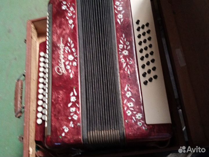 Гармонь весна2