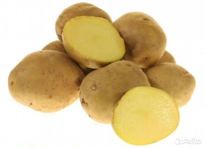 Продам молодой картофель