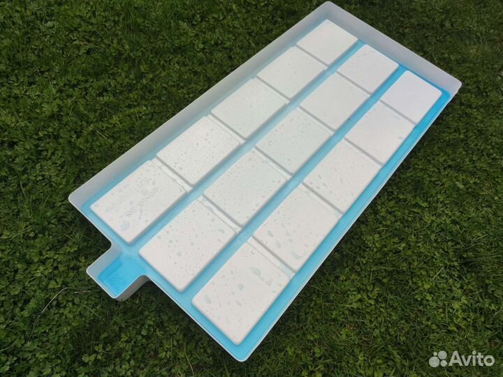 Поддоны для выращивания микрозелени гидропонники