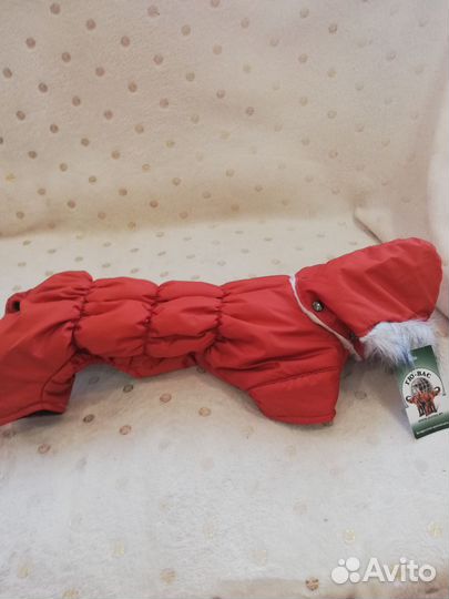 Новый комбинезон для карликовой таксы (Катюшки)