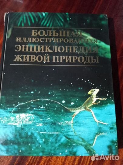 Энциклопедия про животных