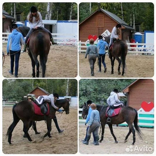 Детская школа, обучение верховой езде