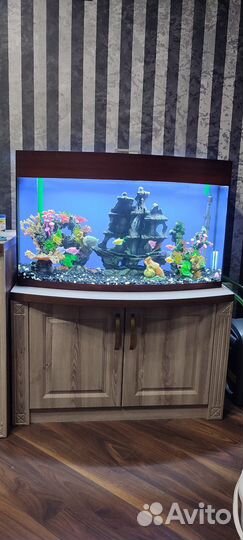 Обслуживание аквариумов