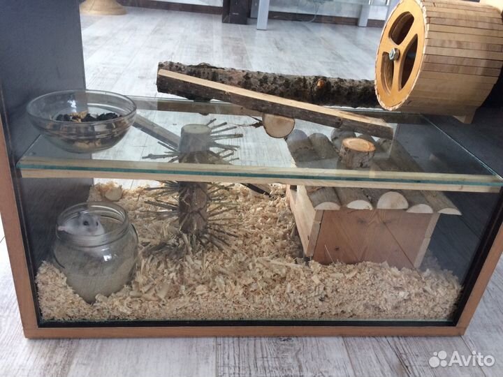 Домик для мелких грызунов новый