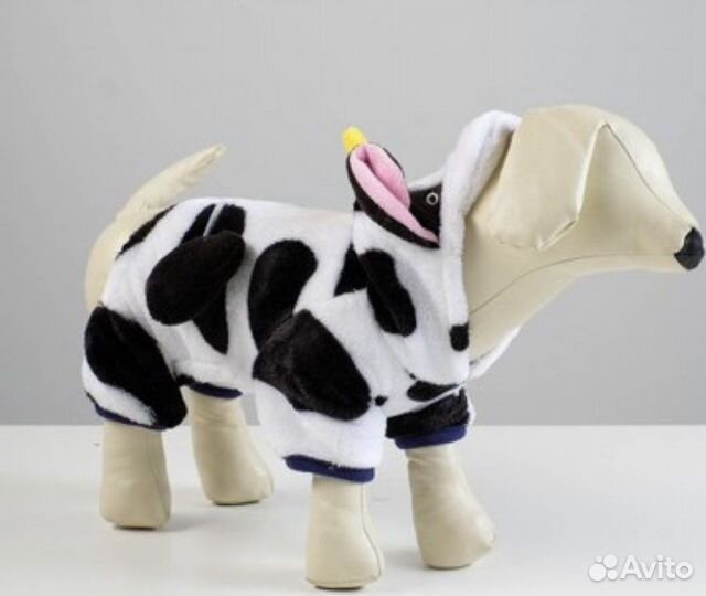 Новая одежда для собаки