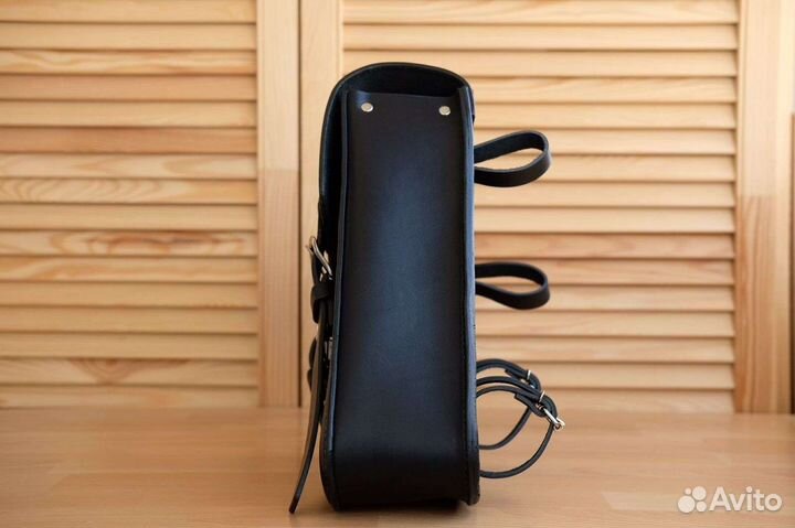 Кофр на маятник Harley Davidson Sportster