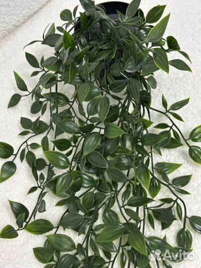 Растение искусственное