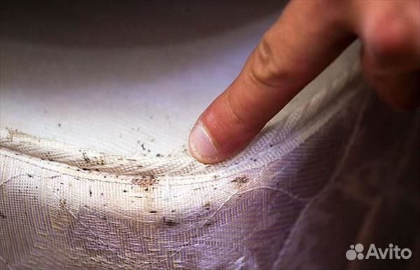 Травим насекомых, тараканы, клопы и пр