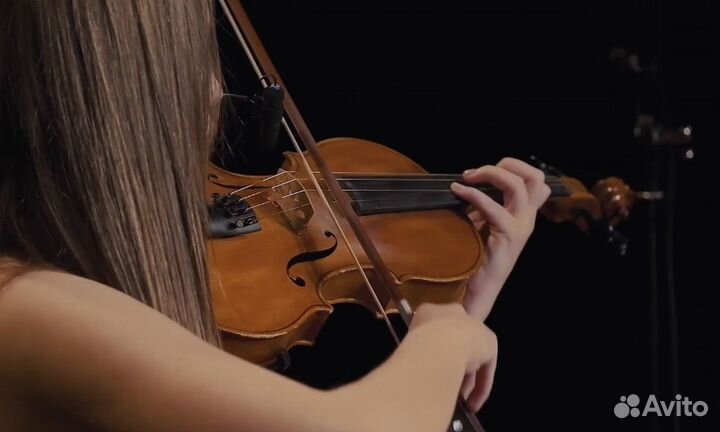 Педагог, репетитор по скрипке