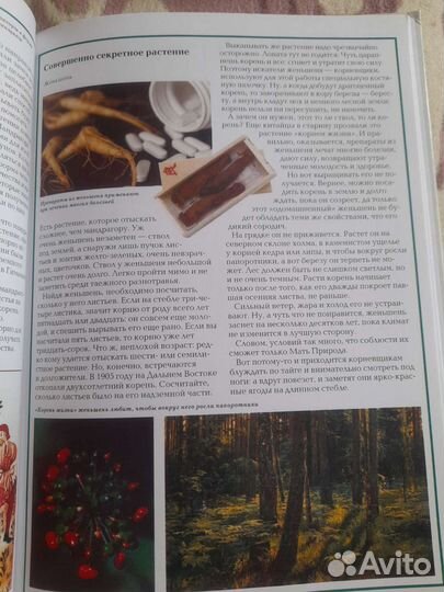 Удивительный мир растений.Жизнь великих людей