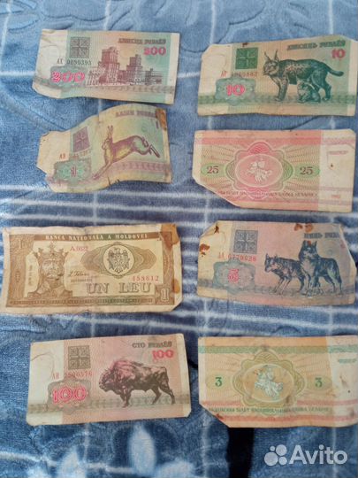 Банкноты СССР, Беларусь