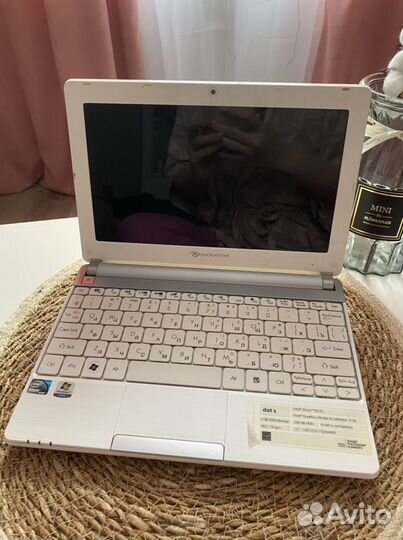 Нетбук packard bell dot s (ze6)