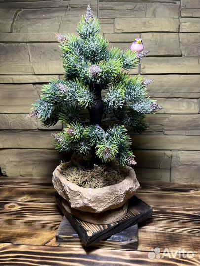 Дерево бонсай