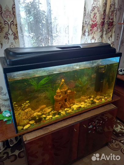 Аквариум