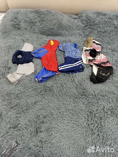 Одежда для маленьких собак