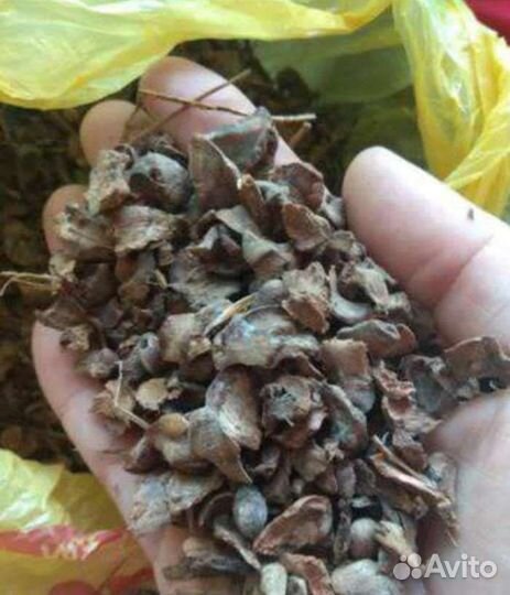 Продам мульчу кедровую