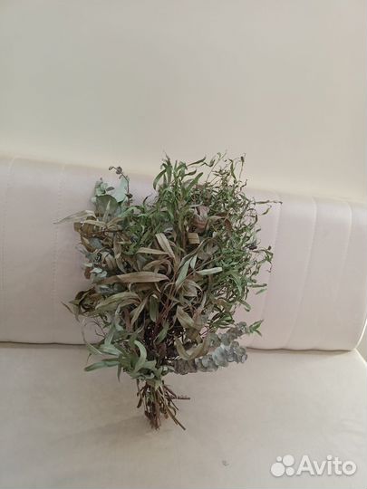 Эвкалиптовый веник для бани