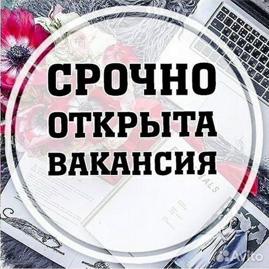 Работа с ежедневной оплатой грузчик
