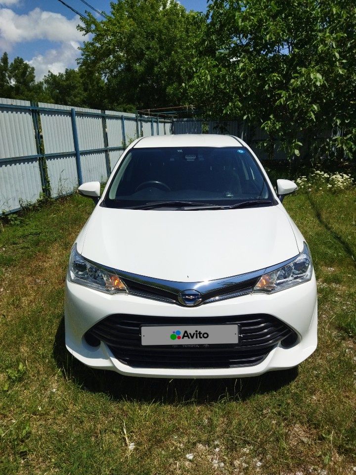 Toyota Corolla Fielder: фото владельца