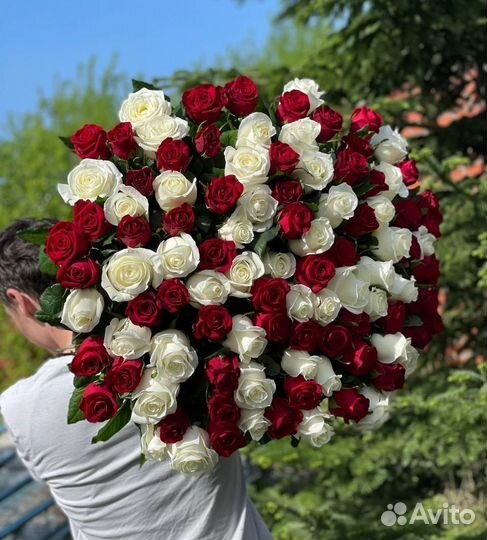 Букет свежих голландских роз 101 шт