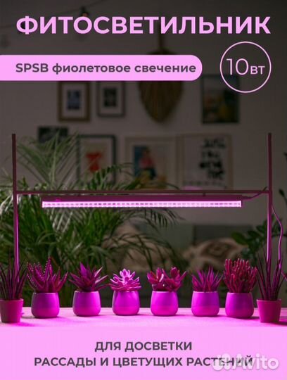 Фитолампа для растений