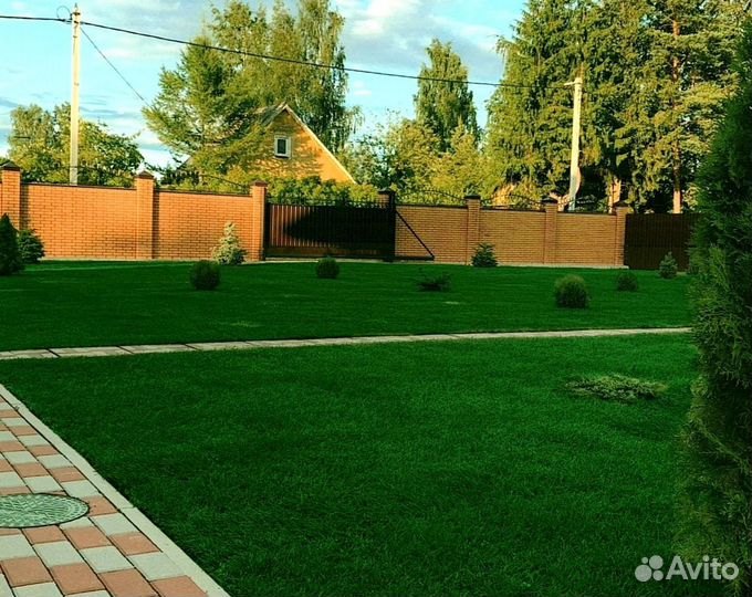 Рулонный газон от производителя