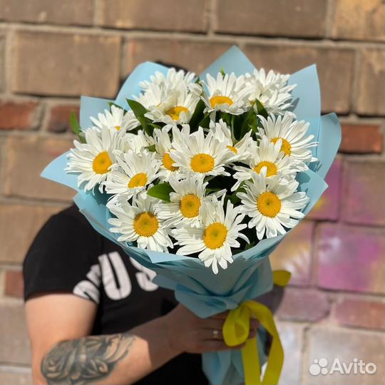 Ромашки оптом