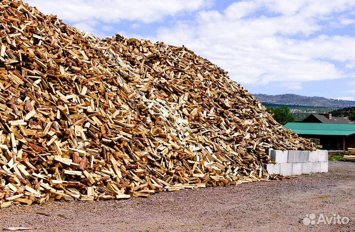 Дрова заготовителей дров