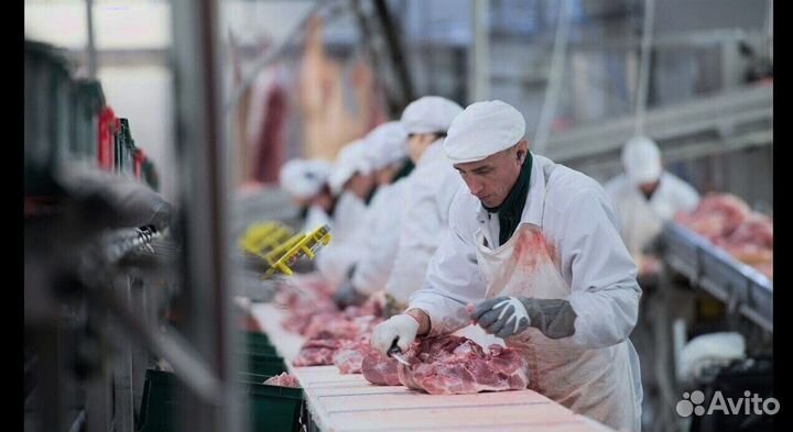 Требуются разнорабочие на производство(вахтовый ме