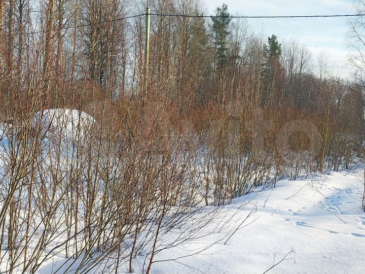 Участок 10 сот. (ИЖС)