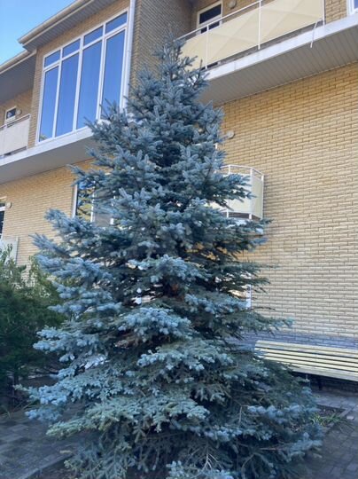 Таунхаус 125 м² на участке 4 сот.