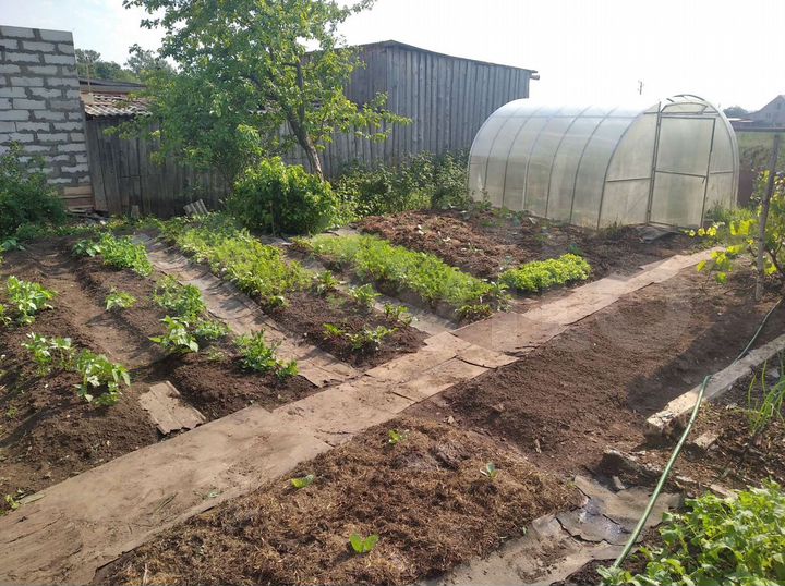 Дом 36 м² на участке 29 сот.