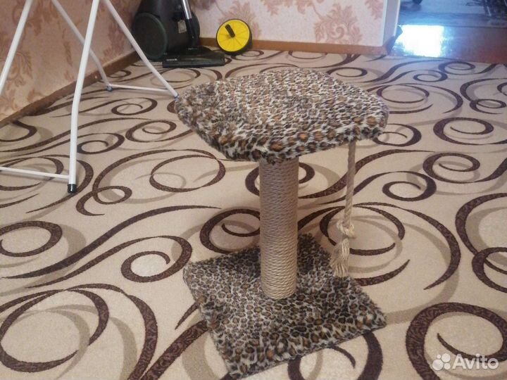 Когтеточка