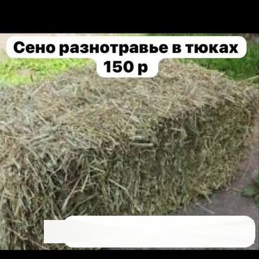 Сено разнотравье в тюках