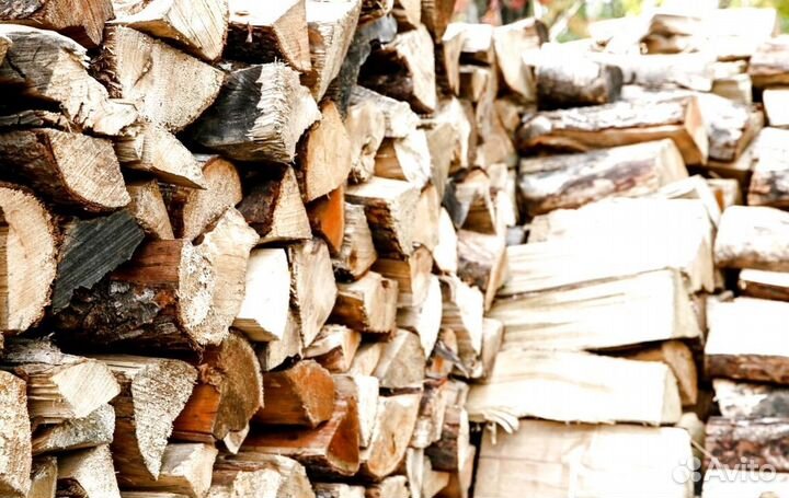 Дрова какие хотите