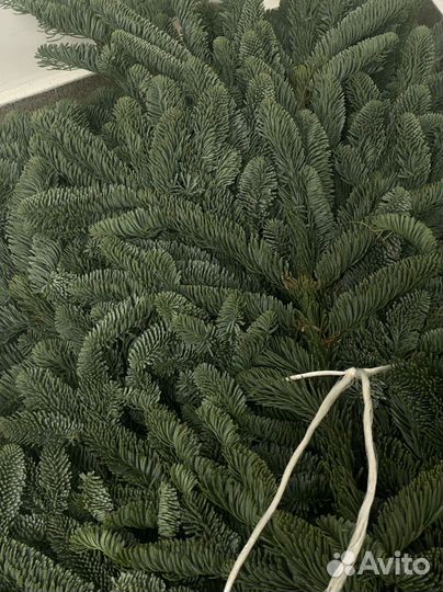 Нобилис 1 банч авито доставка