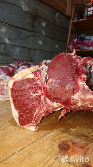 Мясо телятина