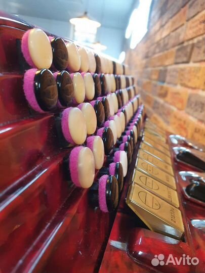 Баян Итальянский Scandalli Номерной L 638/24