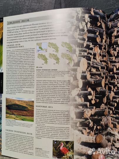 Книга: Земля Энциклопедия