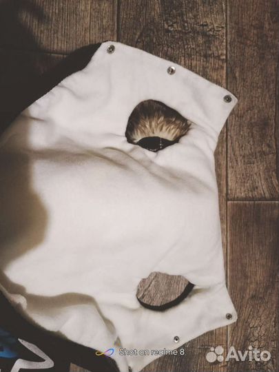 Одежда для собак