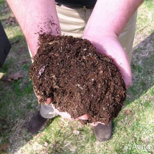 Торфогрунт