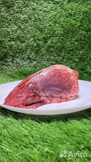 Мясо для собак