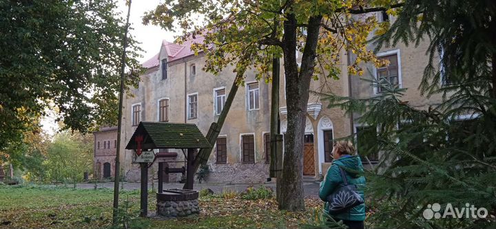 Экскурсии и туры по Калининградской области