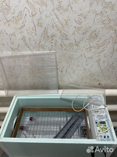 Инкубатор блиц 72